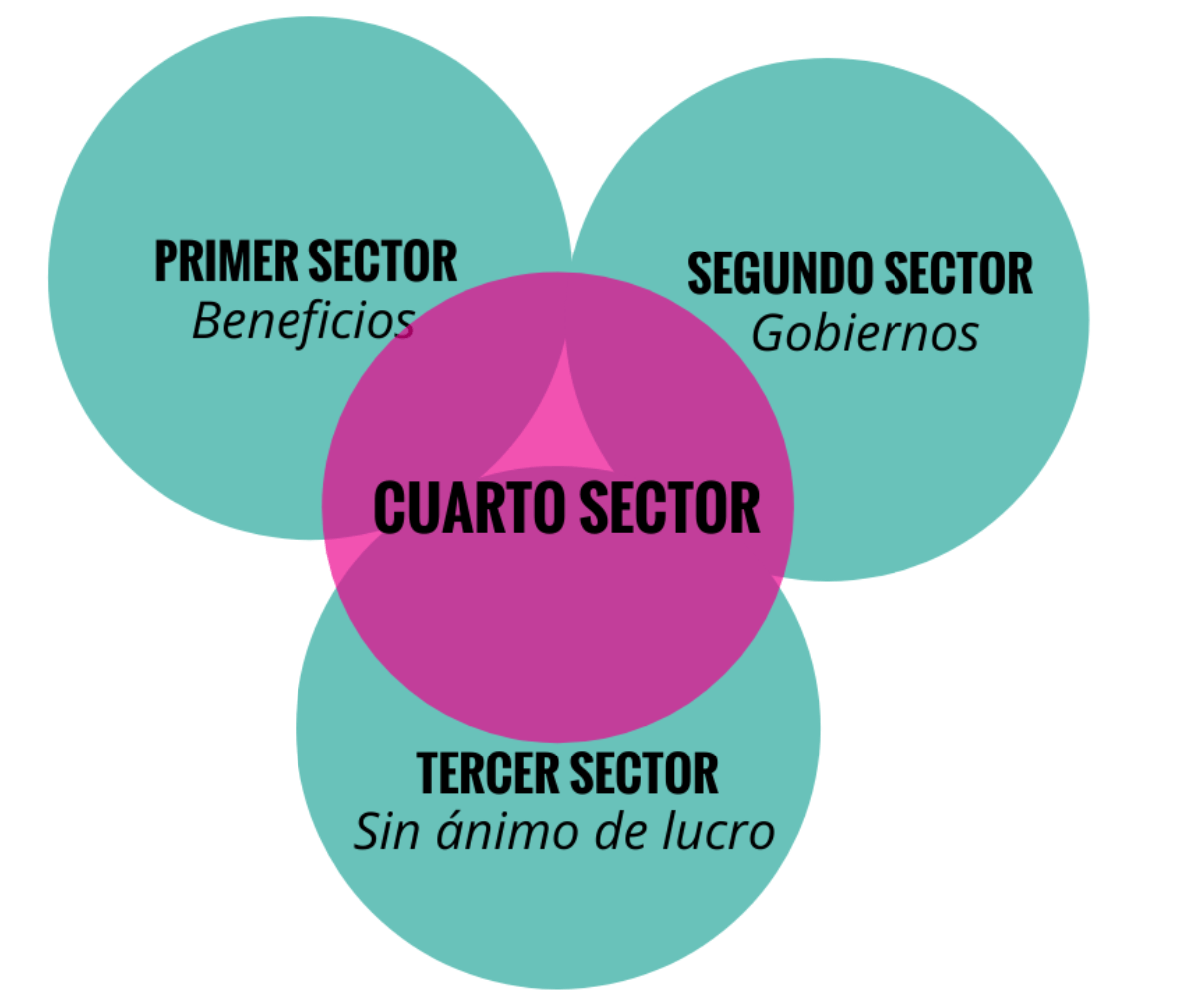 características del cuarto sector