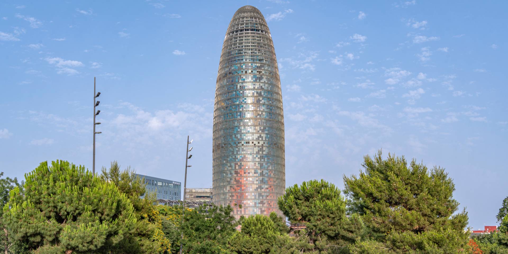 Descripción de la imagen